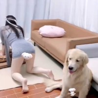 香香公主和爱犬【人兽】